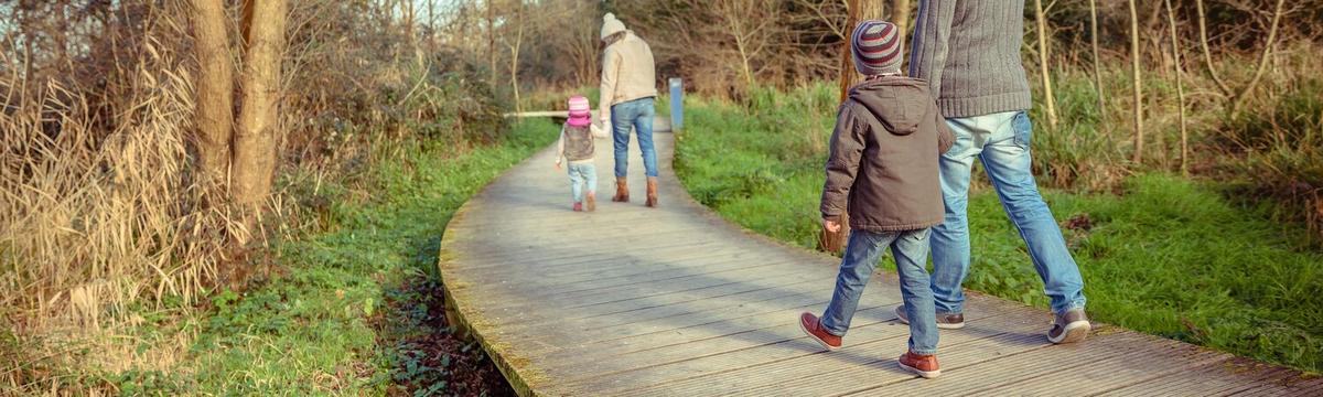 How to Disconnect to Reconnect: The Power of Offline Activities